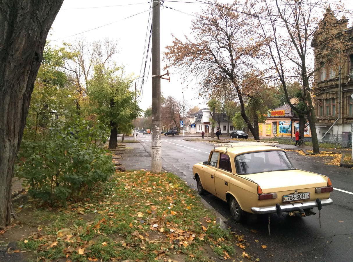 Fox * Mykolaiv